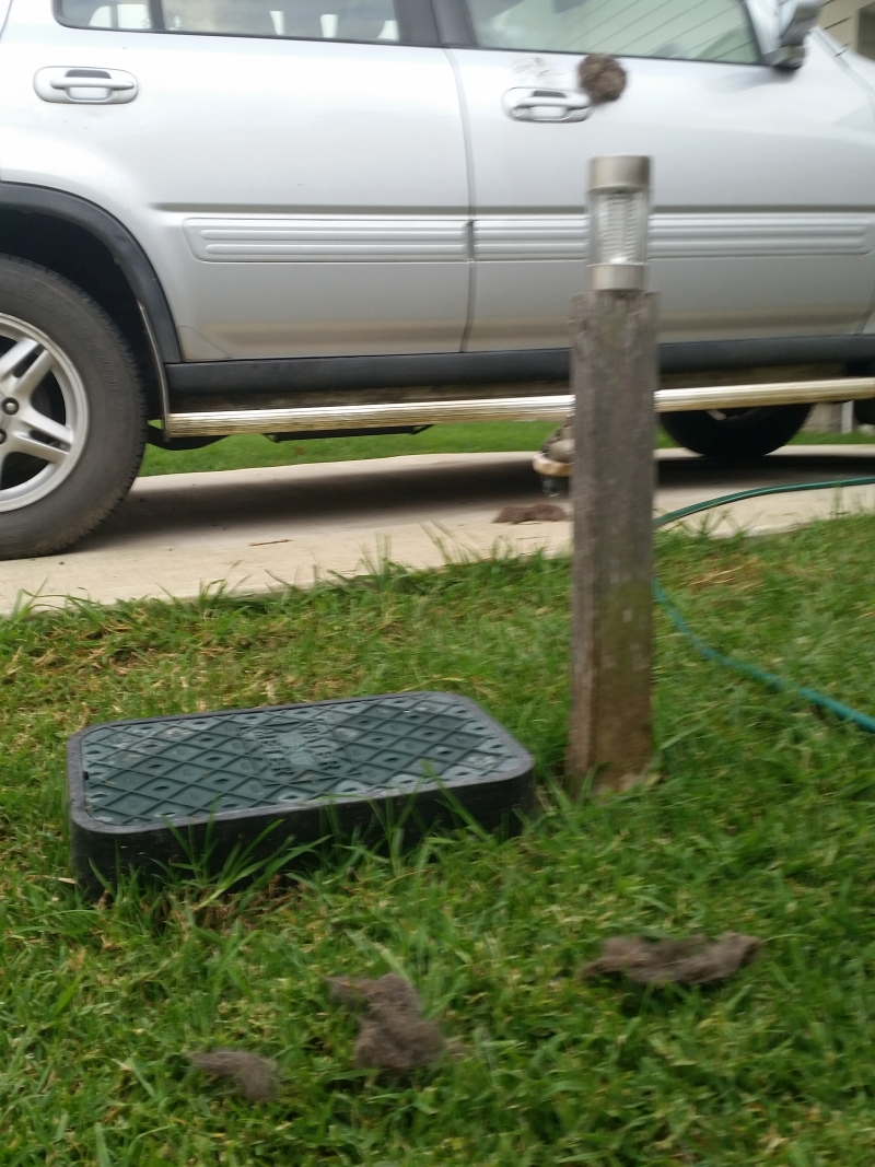 AUSPOST New BErrima dumping rubbish on neighbours vehicle.jpg