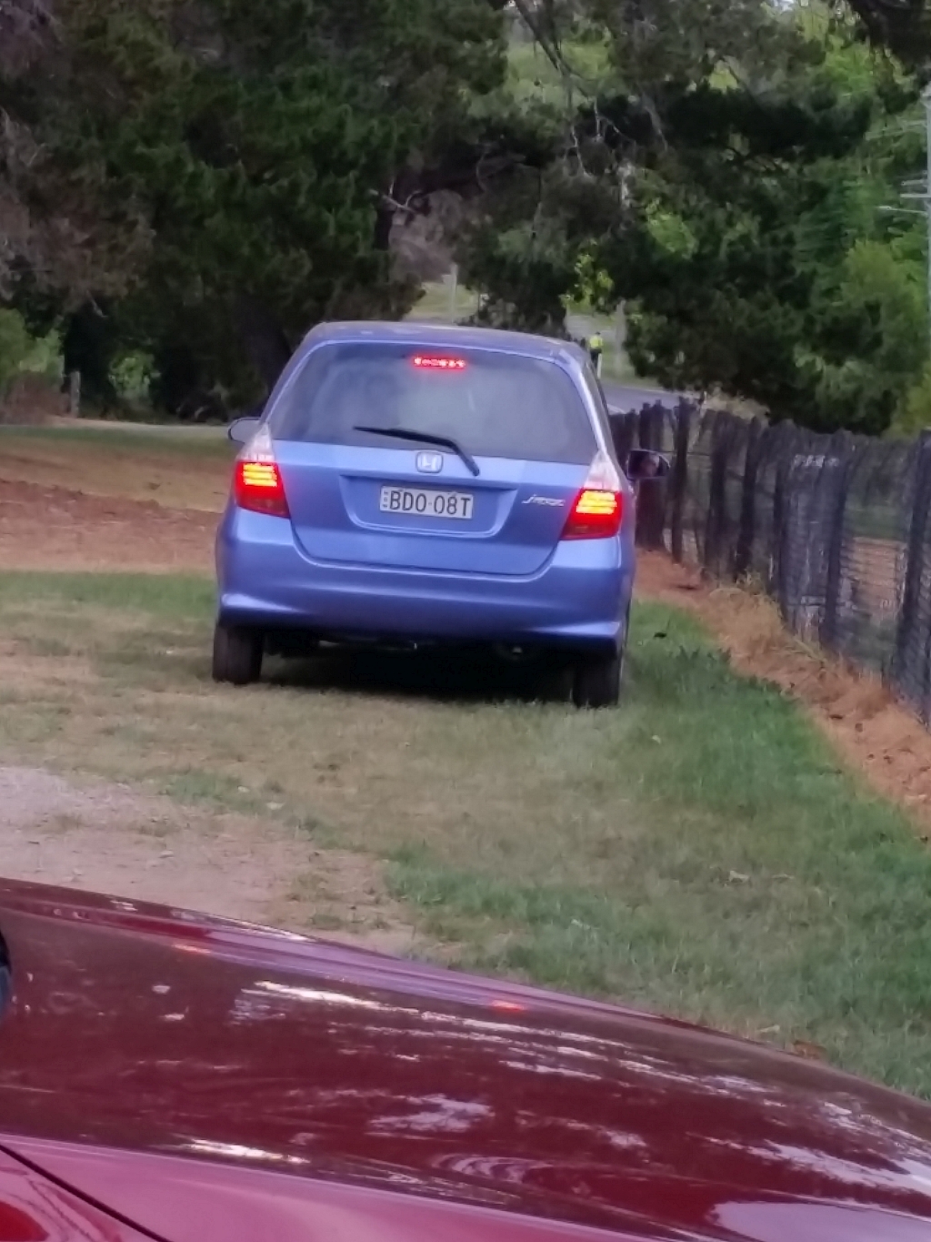 Maureen Anderson at Centennial Park Bowral dog park and her Honda Jazz.jpg