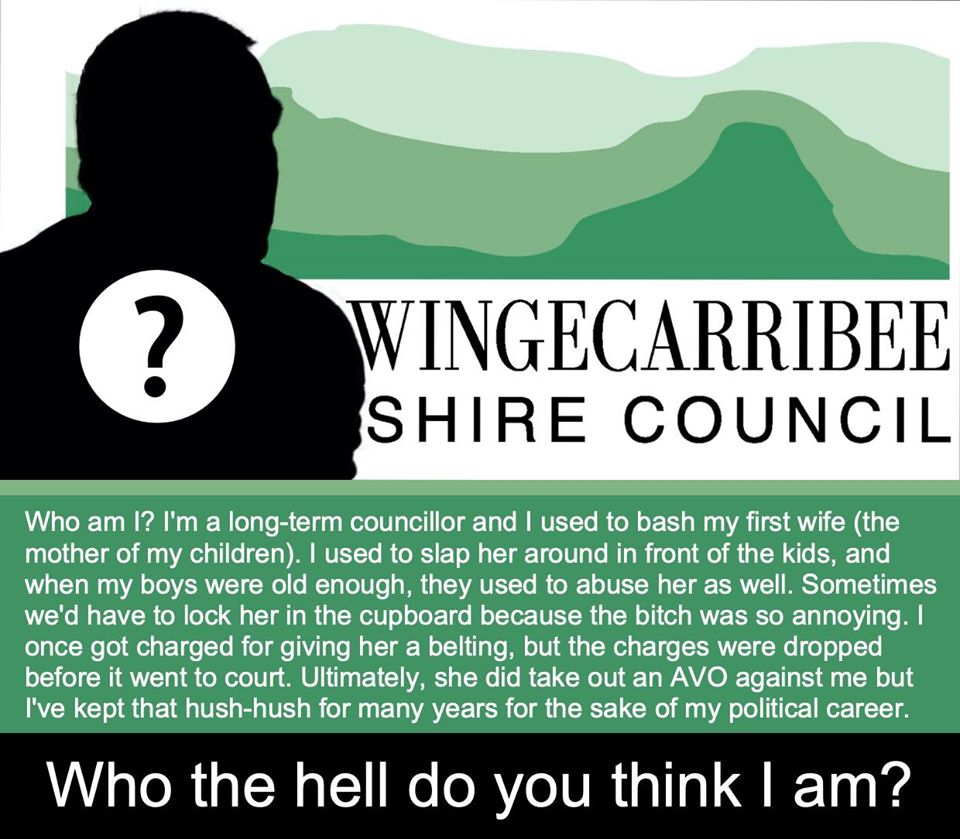 Wingecarribee Councilor wife basher.jpg