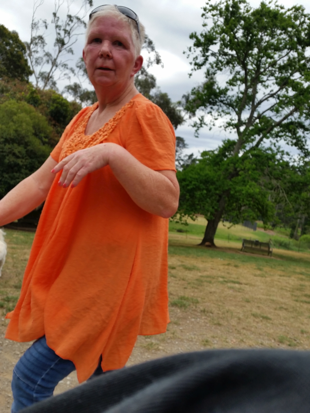 Maureen Anderson at Centennial Park Bowral dog park..jpg