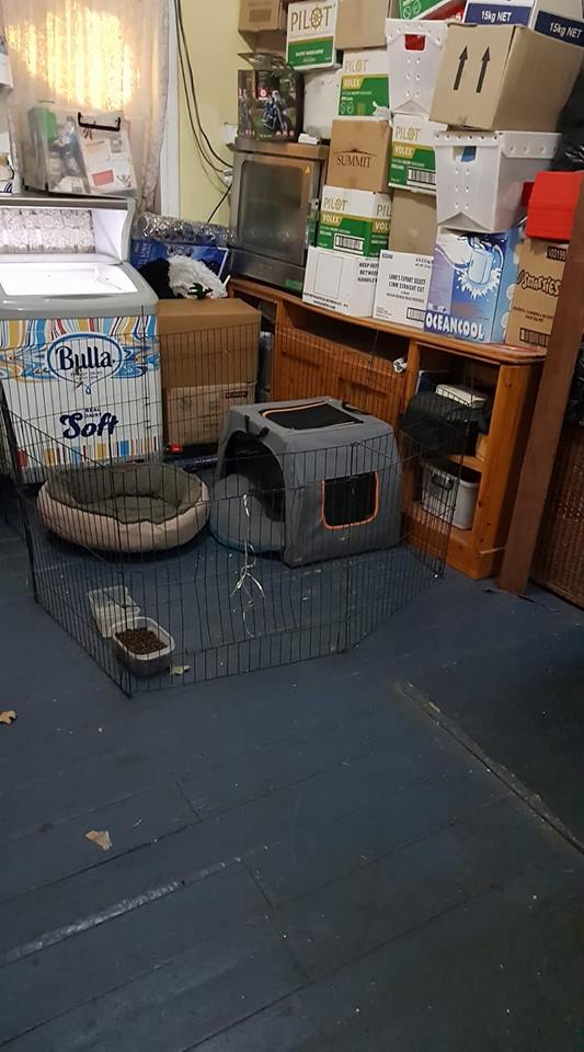 Dog pen in the back store room..jpg