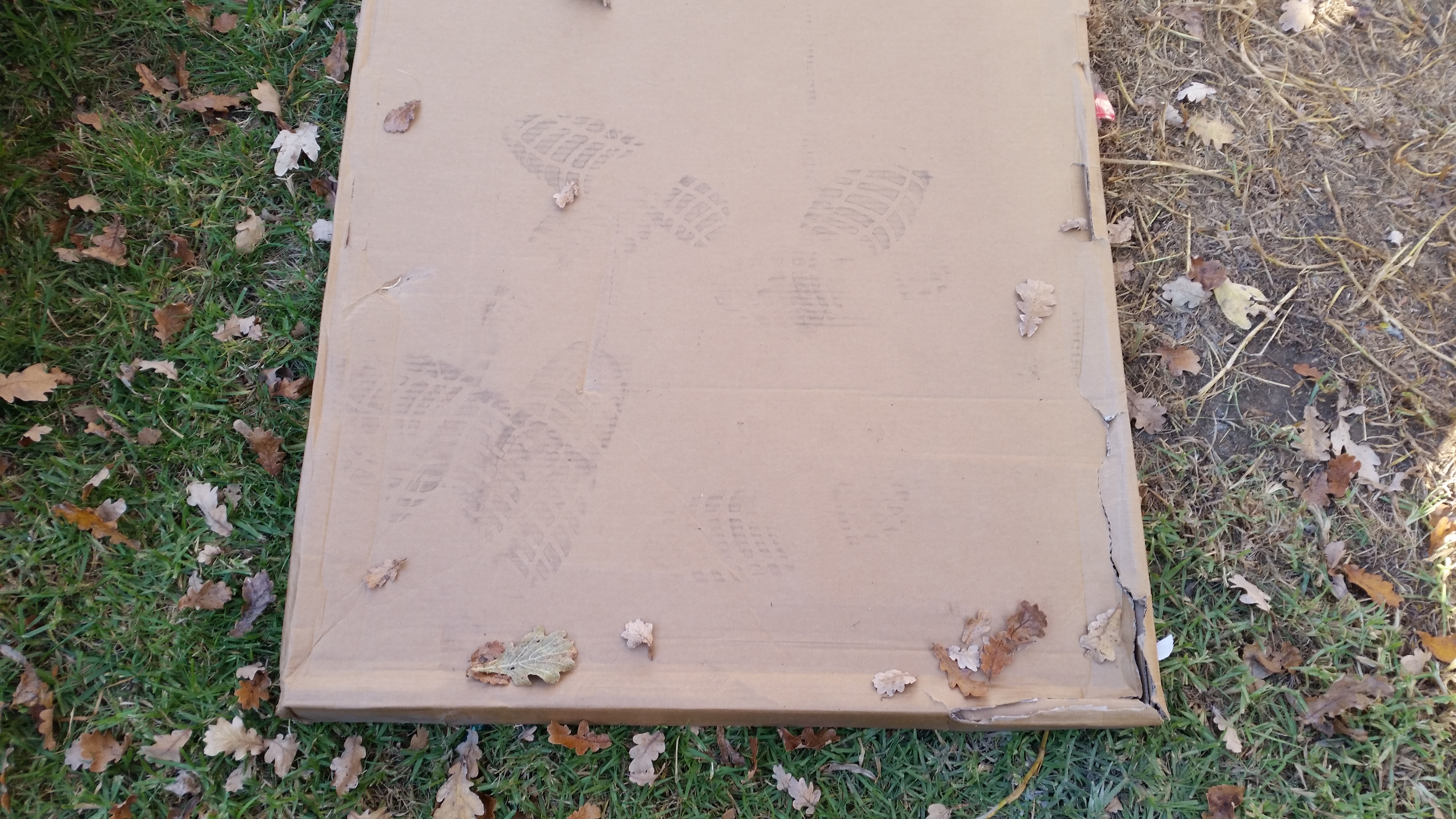 This is how Gubbins Pulbrook in Mittagong delivered my shed