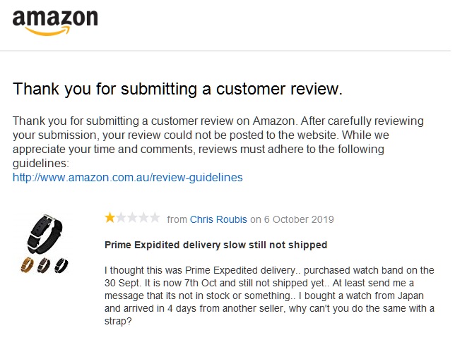 amazon bad  review.jpg