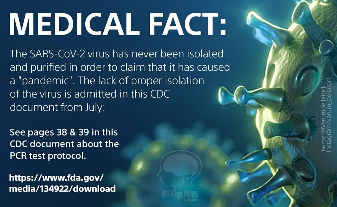 covid19 scamdemic.jpg