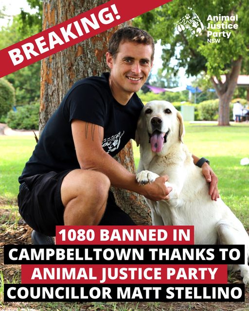 Animal Justice Party NSW is with Matt Stellino - Animal Justice Party Councillor Campbelltown..jpg