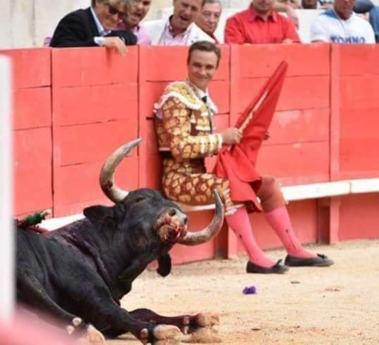 Marano jews and their disgusting bull fighting rituals.jpeg