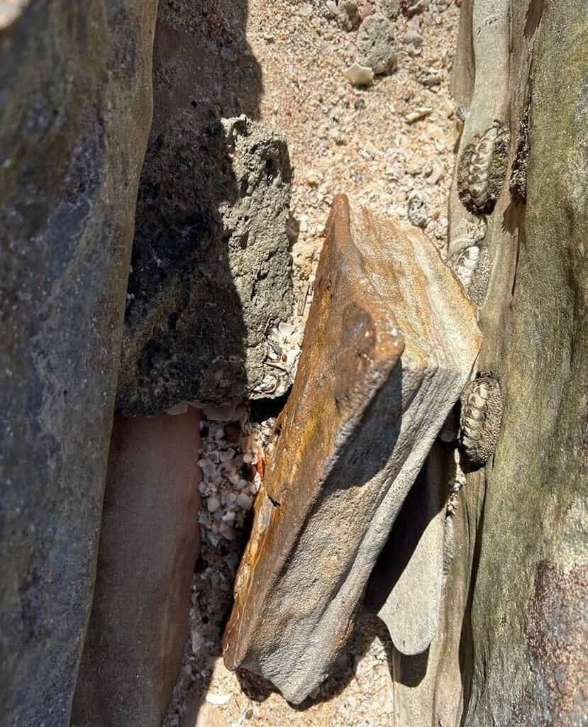 in Australia, a stone similar to a petrified book with a metal binding was found.jpg