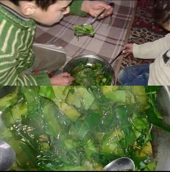 #‎Syrian‬ ‪#‎families‬ ‪#‎cooking‬ ‪#‎leaves‬ to ‪#‎survive‬.. while the Jew World Order keeps destroying the country with their proxy regimes.jpg