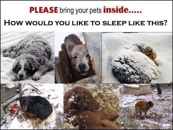 Please don't leave your pets outside.