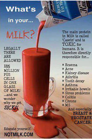 Whats in your milk