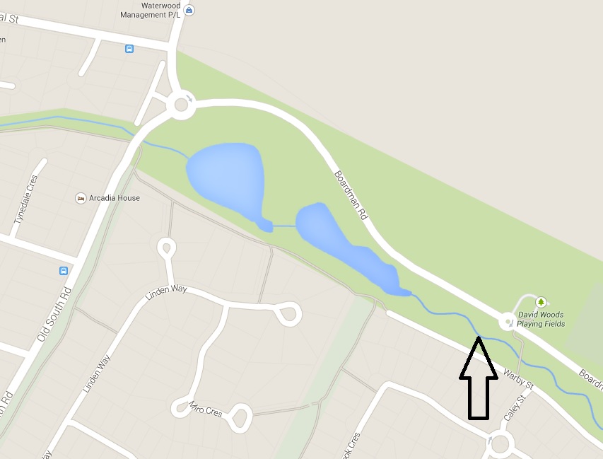 East Bowral sewage leak