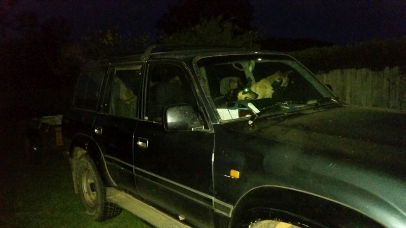 Pet Owner stupidity in Bowral NSW