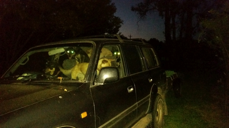 Pet Owner stupidity in Bowral NSW